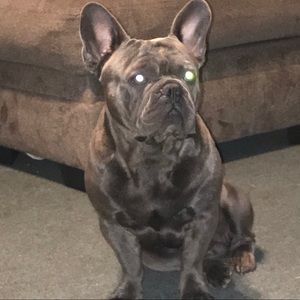 Meet your Posher, Ericca